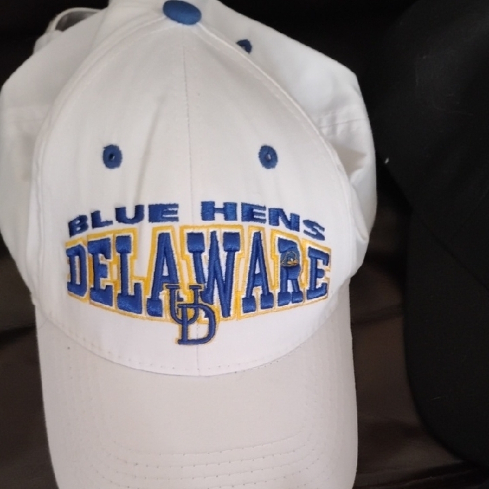 Delaware Blue Hens White Cap